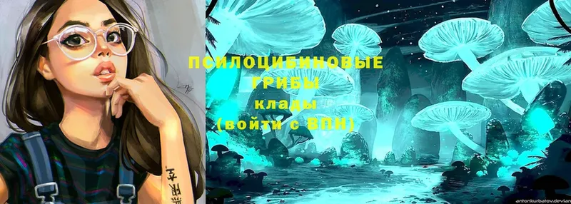 Галлюциногенные грибы Magic Shrooms  наркошоп  Кулебаки 